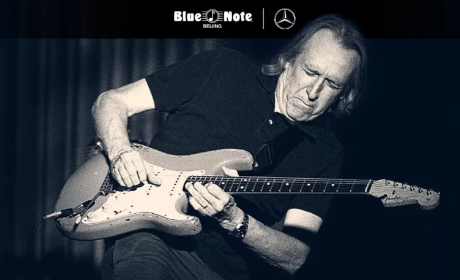 һֱ昷ꠡ: Michael LandauL|Fender
