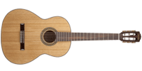 Fender0960328021
