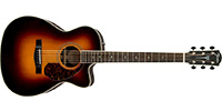 Fender0960291203