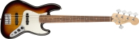 Fender0149953500
