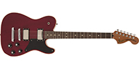 Fender5300100338