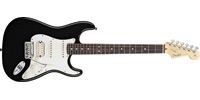Fender0113100706