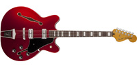 Fender0243000509