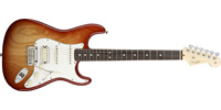 Fender0113100747