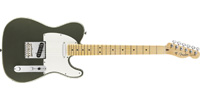 Fender0113202719