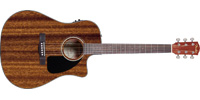 Fender0961590221
