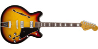 Fender0243000500
