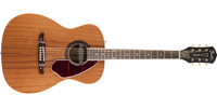 Fender0968314221